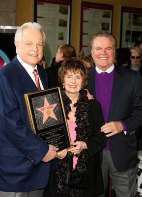 Robert Wagner imagen 4